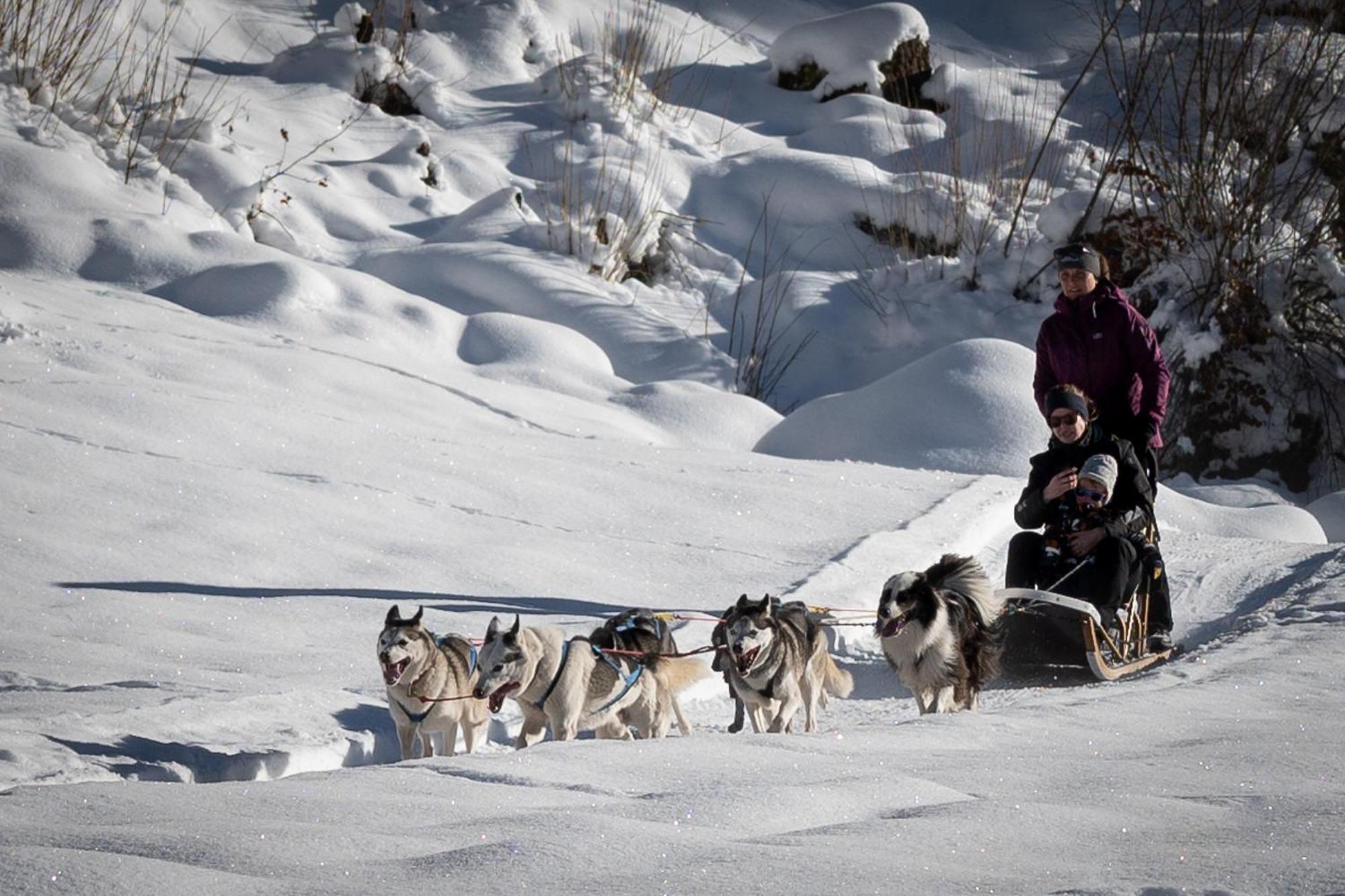Huettenhotel Husky Lodge Muotathal Ngoại thất bức ảnh