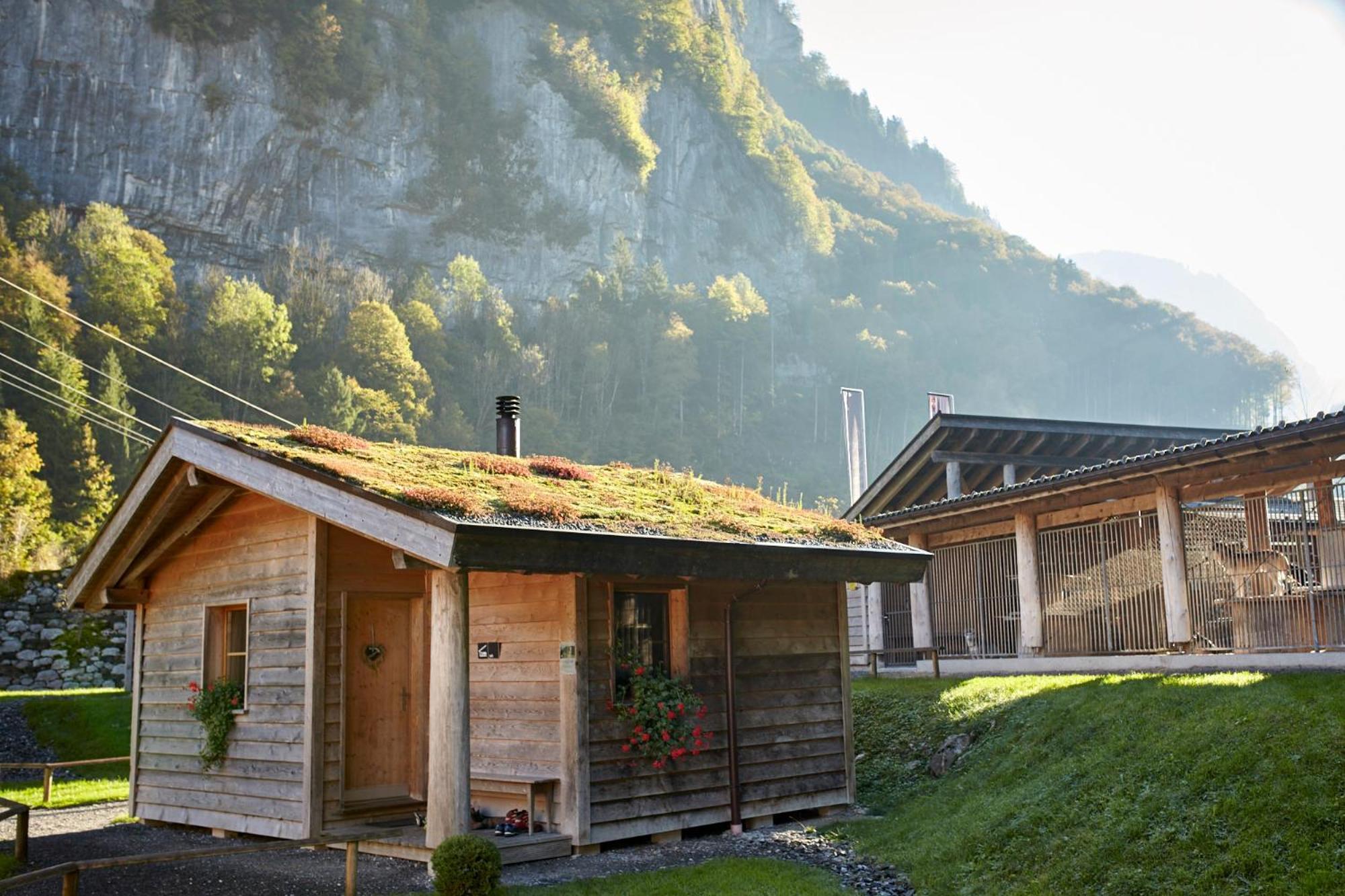 Huettenhotel Husky Lodge Muotathal Ngoại thất bức ảnh